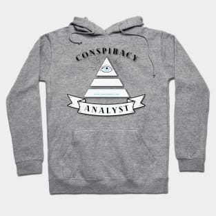 Conspiracy Analyst Hoodie